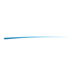 Selsoft Logo